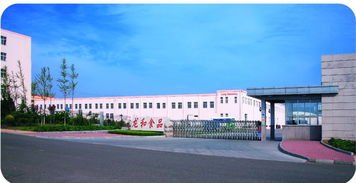 青島京瑞達貿易 以技術研發為引擎，驅動計算機軟硬件業務發展